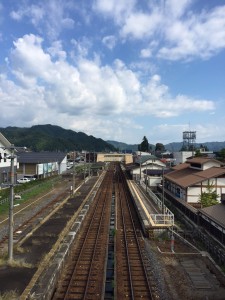 IMG_8963 (1)