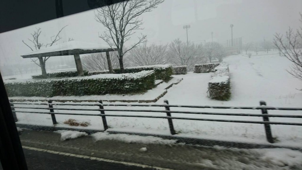 雪の写真
