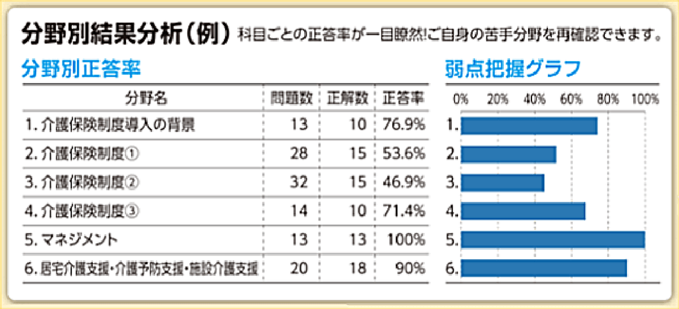 分野別結果分析