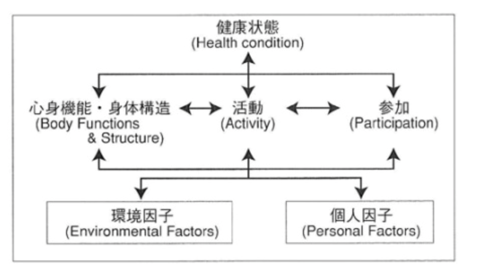 国際生活機能分類（2001）の生活機能構造モデル