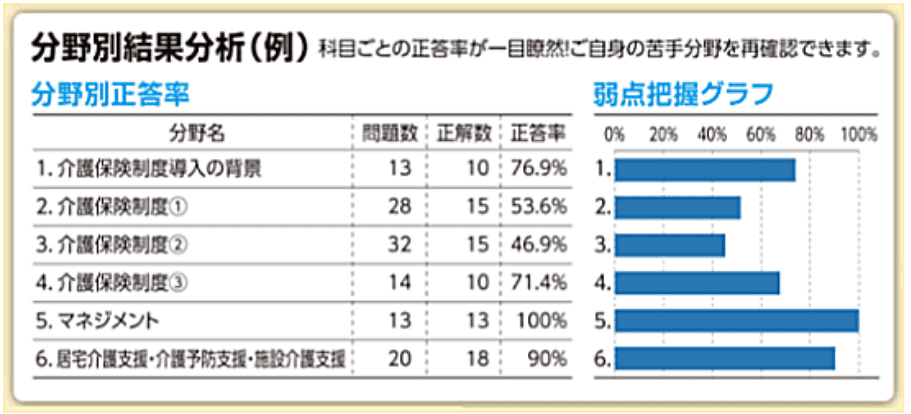 分野別結果分析