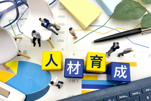 【2027年開始】介護分野の「就労育成制度」とは？旧制度との違いも