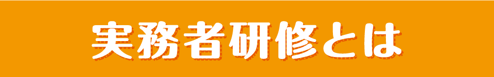 実務者研修とは