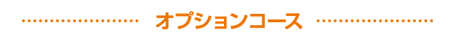 オプションコース